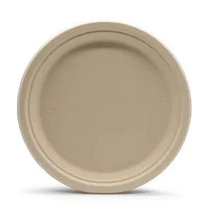 9" Eco-Friendly Paper Plate