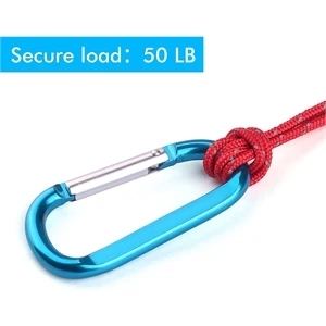 Carabiner key ring