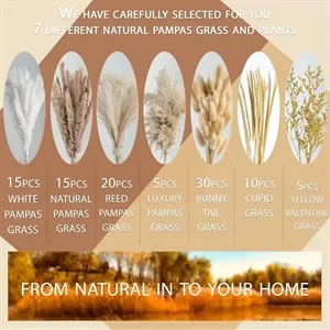 Natural Dried Pampas Grass Boho Home Decorations (100PCS)