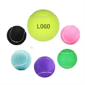Pet Fetch Toy Tennis Ball