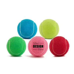 Pet Fetch Toy Tennis Ball