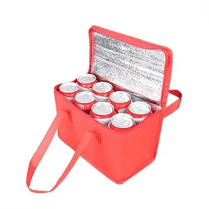 Picnic Insulated Lunch Cooler Bag