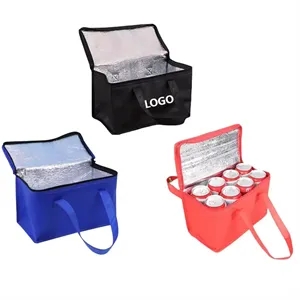 Picnic Insulated Lunch Cooler Bag