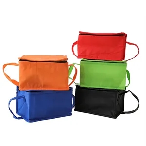 Picnic Insulated Lunch Cooler Bag