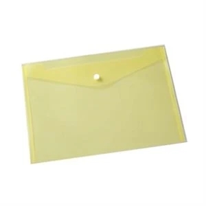 Snap Transparent Document Bags