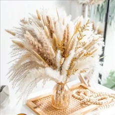 Natural Dried Pampas Grass Boho Home Decorations (100PCS)