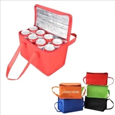 Picnic Insulated Lunch Cooler Bag